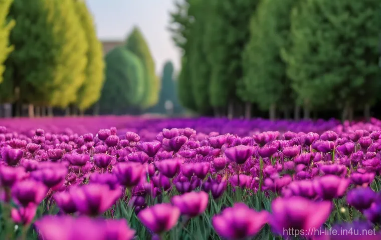 휴대용 전기포트 추천 이미지 2